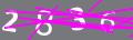 capsa